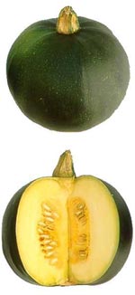 Sommarsquash